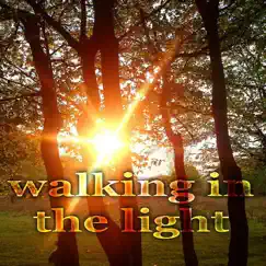 Walking In the Light (Vibe House Music) - Single by Cristian Paduraru album reviews, ratings, credits