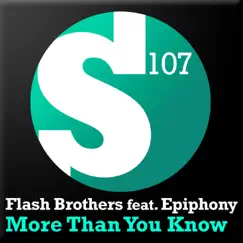 More Than You Know (RAM Radio Edit) [feat. Epiphony] Song Lyrics