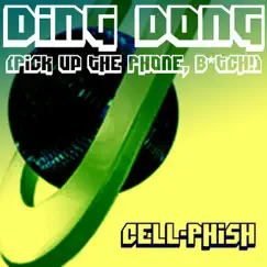 Ding Dong (Pick Up the Phone, B*tch!) [Money and Fun Instrumental] Song Lyrics