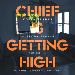 Chief Is Getting High (DJ Wool Dub) Song Lyrics