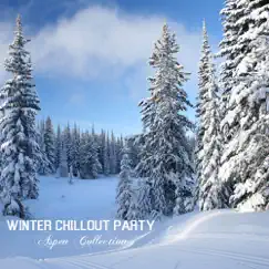 Winter Chill Out Party, Aspen Collection: Winter Music, After Ski Music by Winter Chillout Party Music Club album reviews, ratings, credits