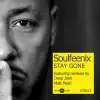 Stay Gone album lyrics, reviews, download