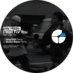 I Wait for You (Boozoo Bajou Remix) [feat. Laila Tov] Song Lyrics