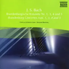 Brandenburg Concerto No. 1 in F major, BWV 1046: I. [Allegro] Song Lyrics