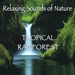 Relaxing Sounds of Nature - Tropical Rainforest by John Grout album reviews, ratings, credits