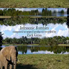 Infrasonic Rumbles by Zack Gross album reviews, ratings, credits