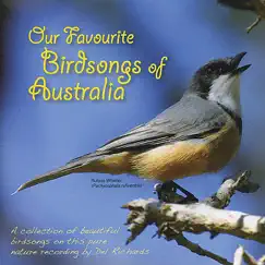 Bar-Shouldered Dove, Lemon-Bellied Flycatcher, Little Shrike-Thrush Song Lyrics