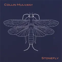 Stonefly by Collin Mulvany album reviews, ratings, credits