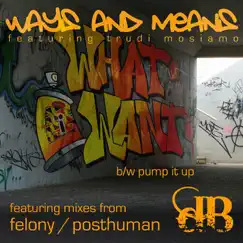 Pump It Up (Posthuman Remix) Song Lyrics