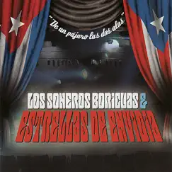 De un Pájaro las Dos Alas by Soneros Boricuas & Estrellas De Envidia album reviews, ratings, credits