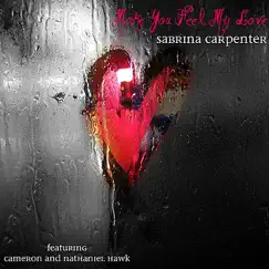 Make You Feel My Love (feat. Nathaniel Hawk & Cameron Hawk) Song Lyrics