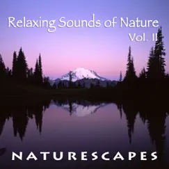 Relaxing Sounds of Nature, Vol. 2 by John Grout album reviews, ratings, credits