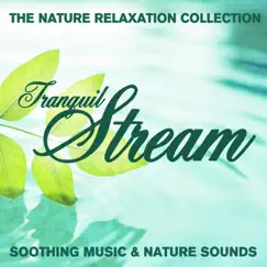 The Nature Relaxation Collection - Tranquil Streams / Soothing Music and Nature Sounds by Sugo Music Artists album reviews, ratings, credits