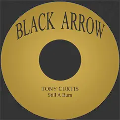 Still a Burn - Single by Tony Curtis album reviews, ratings, credits