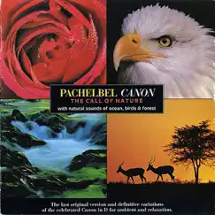 Pachelbel Canon by Air Ensemble album reviews, ratings, credits