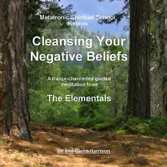 Cleansing Your Negative Beliefs (Guided Meditation from the Elementals) by Jill Harrison & Glenn Harrison album reviews, ratings, credits