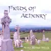 The Fields of Athenry album lyrics, reviews, download