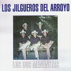 Los Dos Menonitas by Los Jilgueros del Arroyo album reviews, ratings, credits