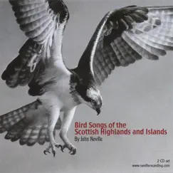 Bird Songs of the Scottish Highlands and Islands by John Neville album reviews, ratings, credits