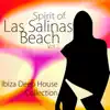 Spirit of las Salinas Beach Vol. 2 (Ibiza Deep House Collection) album lyrics, reviews, download