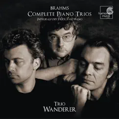 Brahms: Intégrale des Trios avec Piano (Complete Piano Trios) by Christophe Gaugué & Trio Wanderer album reviews, ratings, credits
