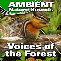Voices of the Forest (Nature Sounds) - Single by Ambient Nature Sounds album reviews, ratings, credits