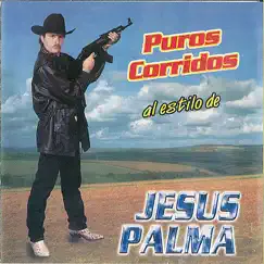 Puros Corridos al Estilo de Jesus Palma by Jesus Palma album reviews, ratings, credits