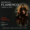 Noches de Flamenco - Noche Flamenca album lyrics, reviews, download