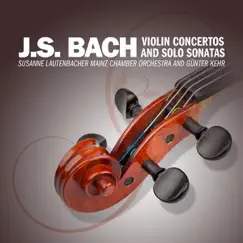 Concerto No. 2 In e Major for Violin and Strings, BWV 1042: II. Adagio Song Lyrics