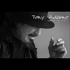 What Is Hip by Tony Adamo album reviews, ratings, credits