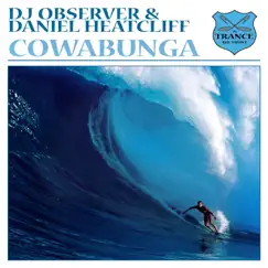 Cowabunga Song Lyrics