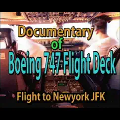 Landing At the NewYork JFK Airport Song Lyrics