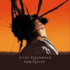 Holy Smoke - Single by Errol Blackwood album reviews, ratings, credits