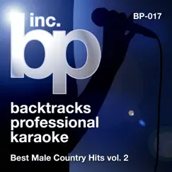 Mud on the Tires (Karaoke Instrumental Track) [In the Style of Brad Paisley] Song Lyrics