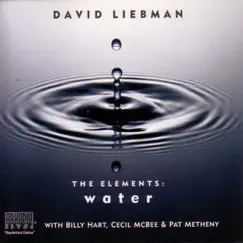 The Elements: Water (With Billy Hart, Cecil McBee & Pat Metheny) by Dave Liebman album reviews, ratings, credits