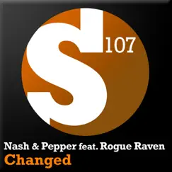 Changed (Klems Remix) [feat. Rogue Raven] Song Lyrics