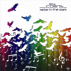 Radar in the Dark by Tim Collins album reviews, ratings, credits