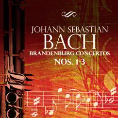 Brandenburg Concerto No. 1 In F Major, BWV 1046: II. Adagio Song Lyrics