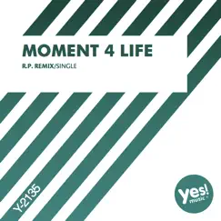 Moment 4 Life (R.P. Remix) Song Lyrics