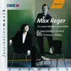 Reger: Complete Works for Clarinet and Piano album lyrics, reviews, download