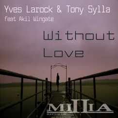 Without Love (Yves C Remix) Song Lyrics