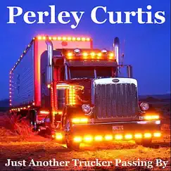 Just Another Trucker Passing By Song Lyrics