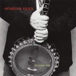 In Your Ear by Seamus Egan album reviews, ratings, credits