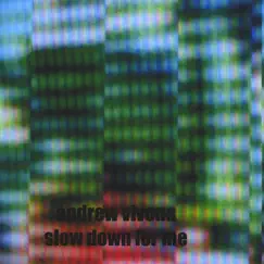 Slow Down for Me by Andrew Vivona album reviews, ratings, credits