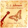 Wonderful World: Celebration Edition, Vol. 2 album lyrics, reviews, download