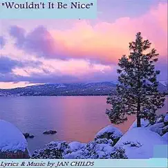 Wouldn't It Be Nice (Christmas in America 2010) - Single by Jan Childs album reviews, ratings, credits