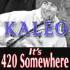 It's 420 Somewhere album lyrics, reviews, download