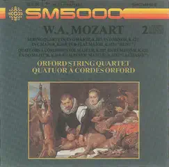 String Quartet No. 14 In G Major, K. 387: IV. Molto Allegro Song Lyrics