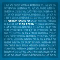We Are In Words (Extended Mix) [feat. Avis Vox] Song Lyrics