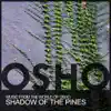 Shadow of the Pines album lyrics, reviews, download